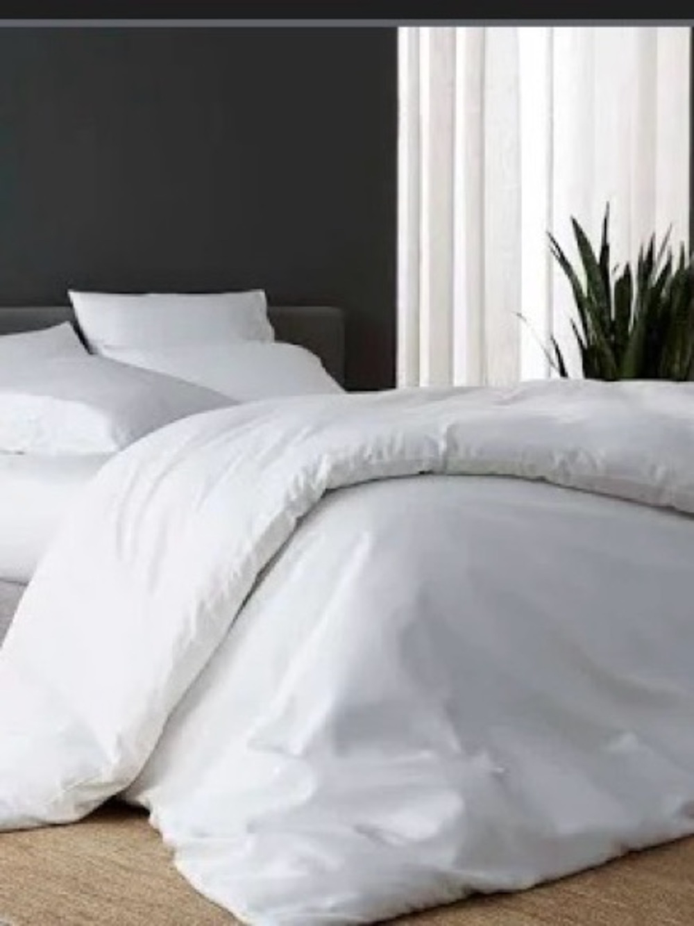DOZ by SIJO 3 pc Bamboo Duvet Cover Set